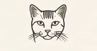 The Poetry Of Catullus