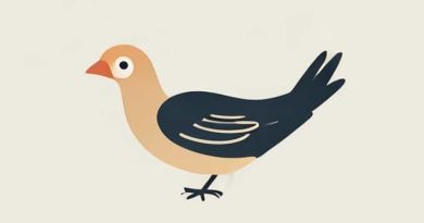 The Smallest Flightless Bird