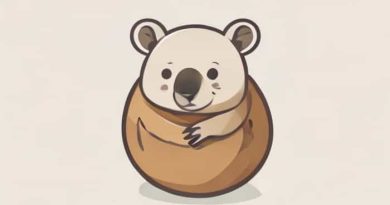 Baby Wombat In Pouch