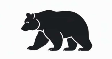 Black Bear Dartmouth Commons