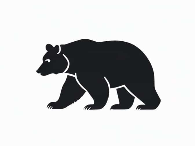 Black Bear Dartmouth Commons