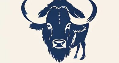 Buffalo Bills From Where