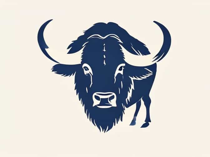 Buffalo Bills From Where