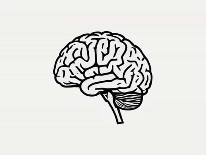 Cerebellum Is Responsible For