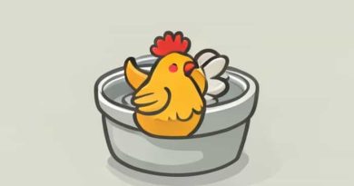 Chicken Under The Washtub