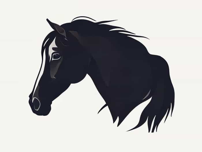 Dark Bay Andalusian Horse