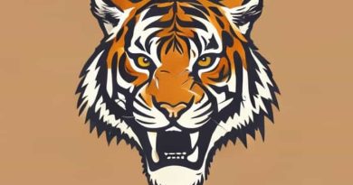 Detroit Tigers Gritty Shirt