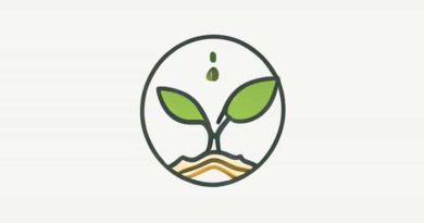 Economia Ambiental X Ecologica