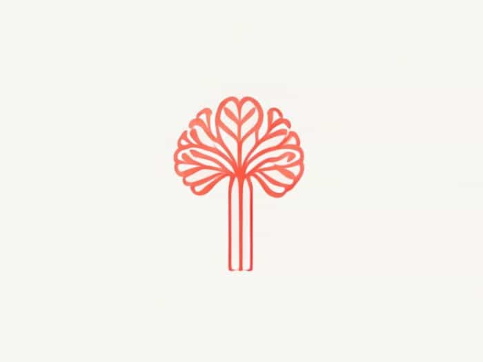 Efferent Superior Cerebellar Peduncle