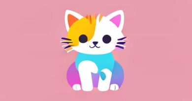 Ela Rainbow Kitten Surprise