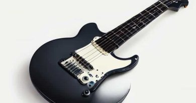 Epiphone Sg Tenon Cover