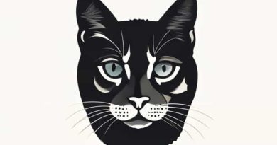 Felis Domesticus Chester Willard