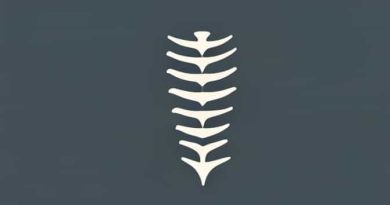 Function Of Cervical Enlargement