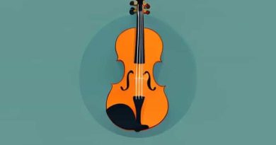 Get Down The Fiddle