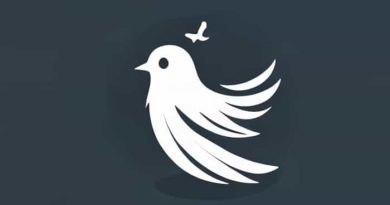 Ghost Bird Of Bewitchment