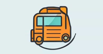 Guia De Movilizacion Runt