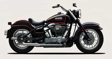 Harley Davidson Sissy Bar