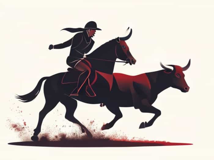 Horseman At A Bullfight