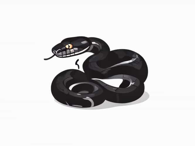 How Do Snakes Defecate