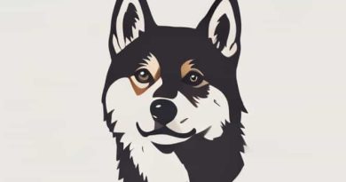 How Much Is An Akita Dog