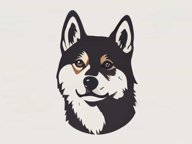 How Much Is An Akita Dog