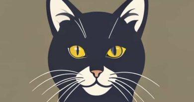 How To Become A Cat Behaviorist