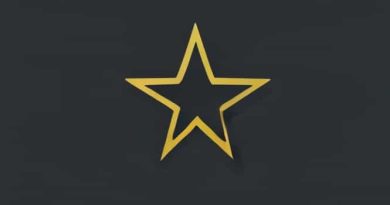 How To Find Shadowy Figure Stardew