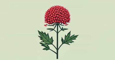 How To Get Rid Of Burdock