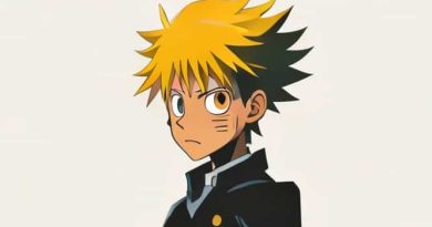 Hunter X Hunter Hardback