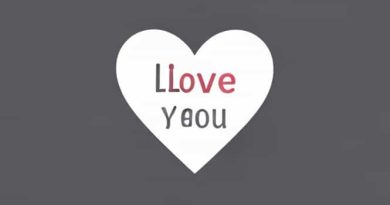 I Love You In Finnish