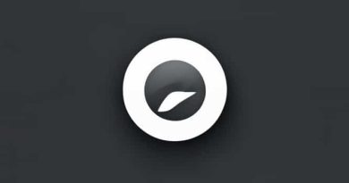 I Second This Meaning