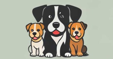 Imagenes De Perros Pekineses