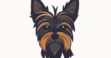 Images Of A Yorkie