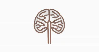 Inferior Cerebellar Peduncle Location