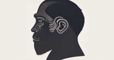 Information About Australopithecus Afarensis