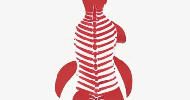 Innervation Of Erector Spinae Muscles