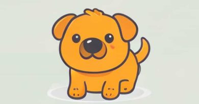 Invincible Squeaker Dog Toy