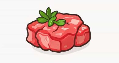 Is Beef Mince Protein