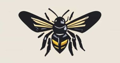 Is Bumblebee In Transformers One