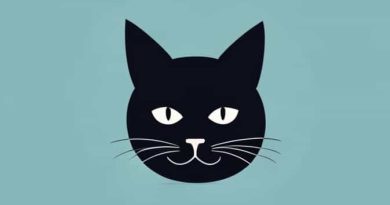 Is Catatonic Schizophrenia Dangerous