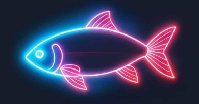 Is Neon A Fish