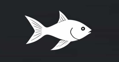 Keel On Caudal Peduncle