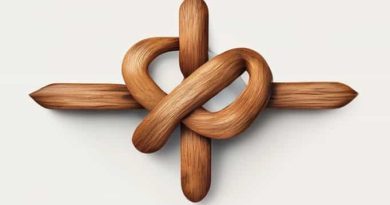 Knot Defect In Timber