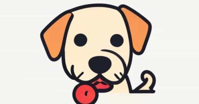 Large Dog Ate Squeaker