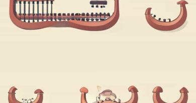 Lee Oskar Harmonica Set