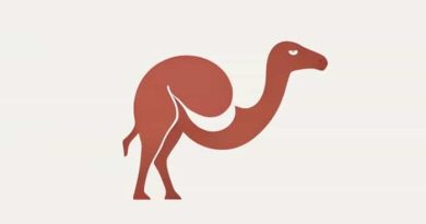 Left Kidney Dromedary Hump