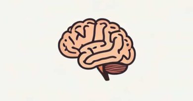 Left Middle Cerebral Peduncle