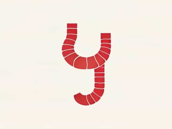 Lining Epithelium Of Ureter