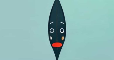 Lowrance Ghost Nose Cone