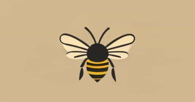 Never Been Stung By A Bee